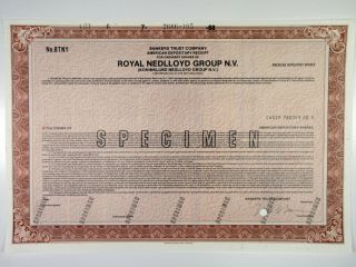 Netherlands.  Royal Nedlloyd Group N.  V. ,  1988 Specimen Adr Certificate,  Xfabnc
