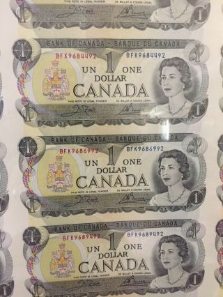 1973 CANADA 1 DOLLAR BANK NOTE UNCUT SHEET X 40 (no tube). 2