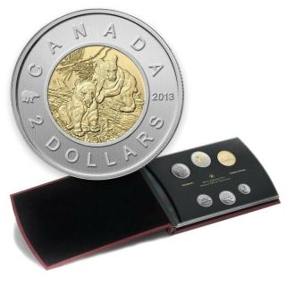 2013 Canadian 6 - Coin Specimen Set - $2 Black Bear Cubs Toonie