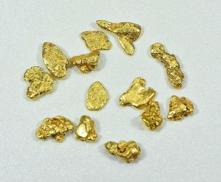 California Gold Nuggets 5 Grams Of 6 Mesh Gold Authentic Natural Feather River