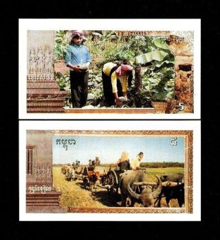 Cambodia 5 Riels P R1 1993 - 1999 Khmer Rouge Influence Buffalo Statue Unc Note