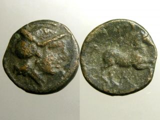 Skotussa Thessaly Bronze Ae18_ancient Greece_athena & Horse