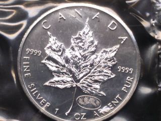 1999 - 2000 Canada 5 Dollar Silver Coin Maple Leaf W/ Fireworks Privy