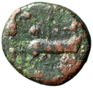 TWO PORTRAITS Claudius & Agrippina Minor Roman Coin Minted Ephesus CERTIFIED 2
