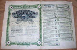 South Africa 1899 Buffelsdoorn Estate Gold Mining Co £1 Uncancelled Coupons Deco