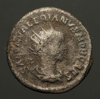 Z - 488 Saloninus.  As Caesar,  258 - 260ad,  Bi Antoninianus Spes & Saloninus Rev.