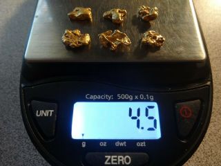 6 California Gold Nuggets 4.  5 Grams Pickers Coloma,  Ca.  - Gold 1st.  Discovered
