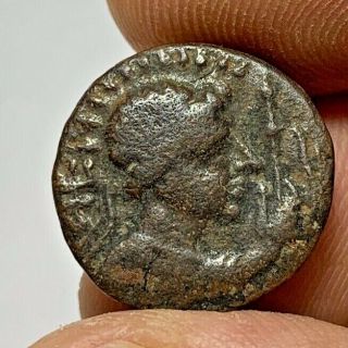 Ancient Indo Greek Bronze Coin Tetradrachm Soter I 8.  2gr 19.  9mm