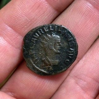 Scarce Ancient Roman Coin Antoninianus Vabalathus 270 - 272ad Aurelian Ric381 2.  9g