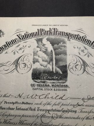 1907 Yellowstone National Park Transportation Co.  stock certificate 2