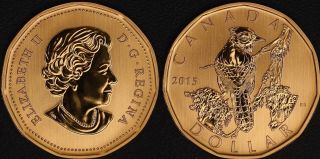 Canada 2015 $1 Loonie,  Specimen - Brilliant Relief - Blue Jay Gem Coin
