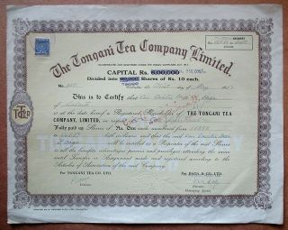 India The Tongani Tea Co.  Ltd 1952 Share Certificate
