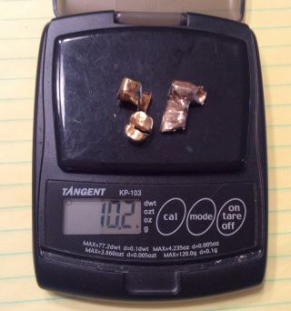 Dental Scrap Gold,  10.  2 Grams