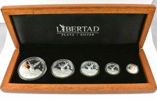 Libertad Set Of 5 2013 Banco De Mexico Silver Coins 1,  1/2,  1/4,  1/10,  1/20 Onza