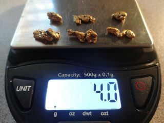 6 California Gold Nuggets 4.  0 Grams Pickers Coloma,  Ca.  - Gold 1st.  Discovered