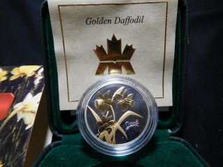 P33 Canada 2003 Silver 50 Cents Golden Daffodil Proof W/ Box &