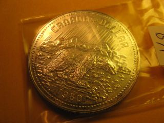 Canada Rare 1980 Silver Dollar 100 Yrs Of Arctic Territories Id B91.