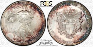 2000 American Silver Eagle Ase Pcgs Ms67 - Exceptional Purple Rainbow Toning