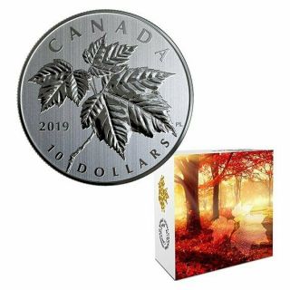 Maple Leaves – 2019 $10 1/2 Oz Fine Silver Coin – Royal Canadian