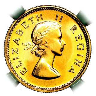 1953 Elizabeth Ii South Africa Gold Proof Half Sovereign 1/2 Pound £1 Ngc Pf66