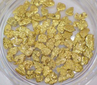 Gold Nuggets 3,  Grams Placer Alaska Natural 12 Jewelers Grade Overlay