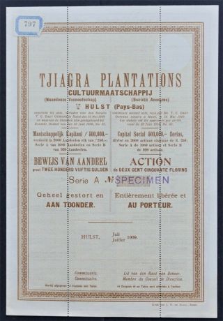 Indonesia - Tjiagra (rubber) Plantations - 1909 - Specimen Share 250 Guilders