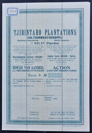 Indonesia - Tjiagra (rubber) Plantations - 1908 - Specimen Share 250 Guilders