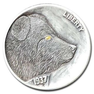 Hobo Nickel Coin 1937 Buffalo Gold Eye Bear Engraved By Gediminas Palsis