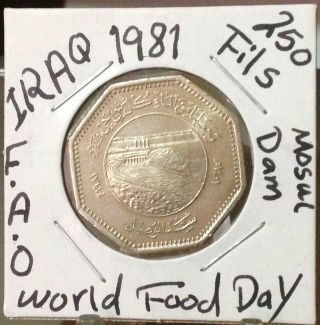 Iraq 250 Fils (fao - World Food Day 1981) Coin,  Saddam Hussein Era,  العراق