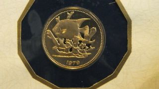$100 Belize Queen Angelfish Gold Coin
