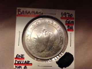 1970 - Bahama Islands,  One Dollar - Silver Coin.  Coin.  800 Silver