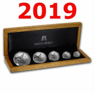 2019 5 Coin Mexican Libertad Proof Set Wood Box 1 Oz 1/2 Oz 1/4 Oz 1/10 1/20