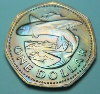 1979 Barbados Proof One Dollars Bu Unc Color Toned Coin