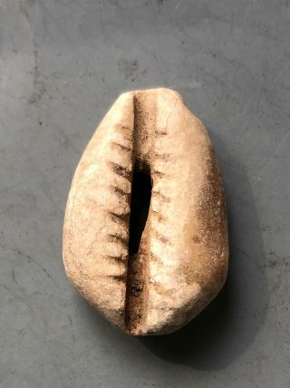 Tomcoins - China Zhou Dynasty Stone Cowrie Coin 24.  32mm