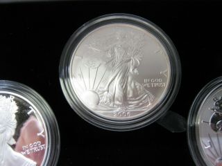 2006 American Eagle 20th Anniversary 3 Silver Coin Set Proof,  Reverse Proof,  Unc 5