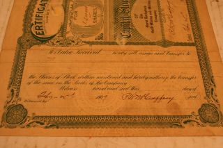 LUCKYBUCK GOLD Arizona Territory 1909 Mc Caffrey E J Nolds 1 stock 1.  5 million 5