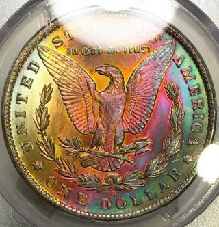 1885 - O Morgan Dollar Pcgs Ms65 True Rainbow Toned Gorgeous Color Stunning Piece