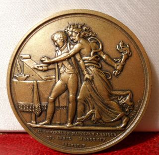 Napoleon Abdicates 1814 French Bronze Art Medal