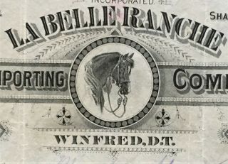 LA BELLE RANCHE HORSE IMPORTING CO Stock 1889.  Dakota Territory.  Unique Business 2