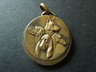 J954 Belgium Art Nouveau Medal Societe Canine By R.  De Rooster 2,  6 Cm