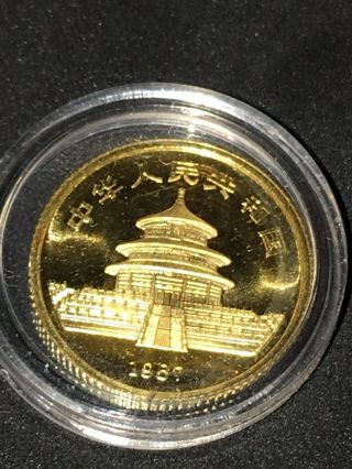 1987 China 1/10 oz.  999 Pure Gold Coin Panda 10 Yuan REALLY COIN 2