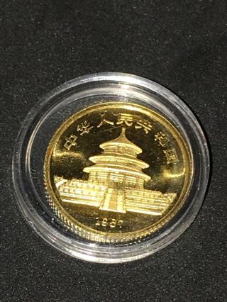 1987 China 1/10 oz.  999 Pure Gold Coin Panda 10 Yuan REALLY COIN 4