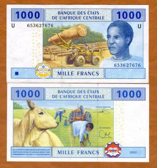 Central African States,  Cameroun 1000 Francs,  2002,  P - 207u,  Unc Logging