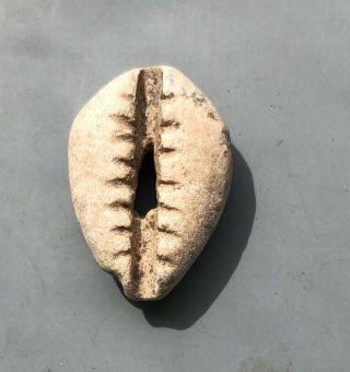 Tomcoins - China Zhou Dynasty Stone Cowrie Coin 24.  62mm