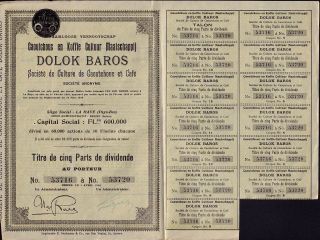 Dolok Baros Caoutchouc & Coffee 1910 - Sumatra Indonesia