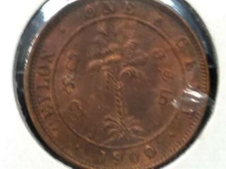 1900 Ceylon 1 Cent Km 94 Coin,  Uncirculated