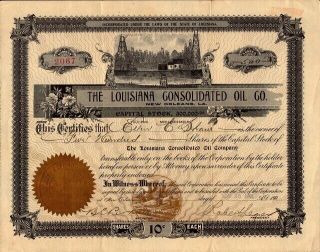 Louisiana Consolidated Oil Co 1901 Common Stock Certificate