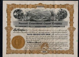 Sb Vtg Stock Certificate - Nacozari Consolidated Copper Co.  100 Share @$5 1912