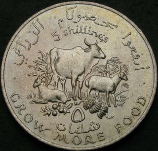 Somalia 5 Shillings 1970 - Fao - Aunc - 3338 ¤