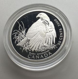 Canada 2000 50 Cents Red Tailed Hawk Sterling Silver Birds Of Prey Wildlife